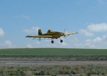 Ag Pilot, Crop Duster